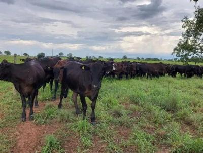 Fazenda para Venda, em Abreulndia, bairro ZONA RURAL