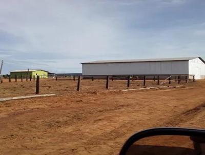 Fazenda para Venda, em Vrzea Grande, bairro ZONA RURAL