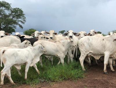 Fazenda para Venda, em Flores de Gois, bairro ZONA RURAL