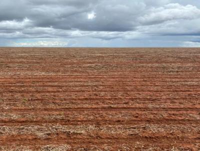 Fazenda para Venda, em Campo Novo do Parecis, bairro ZONA RURAL