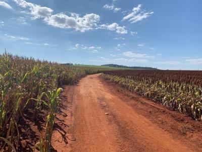 Fazenda para Venda, em Inhumas, bairro ZONA RURAL