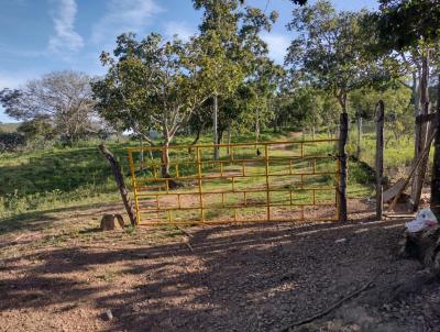 Fazenda para Venda, em Padre Bernardo, bairro ZONA RURAL