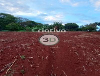 Terreno para Venda, em So Pedro do Turvo, bairro Bairro Ribeiro Claro