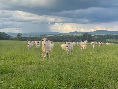 Fazenda para Venda, em Bela Vista de Gois, bairro Zona Rural