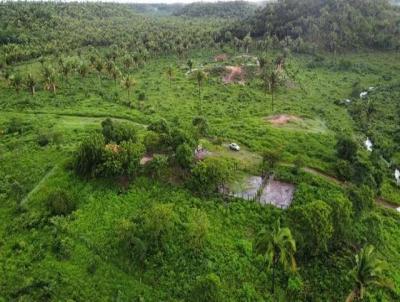 Fazenda para Venda, em Peritor, bairro ZONA RURAL