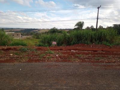 Terreno para Venda, em Apucarana, bairro Nucleo Habitacional Adriano Correa