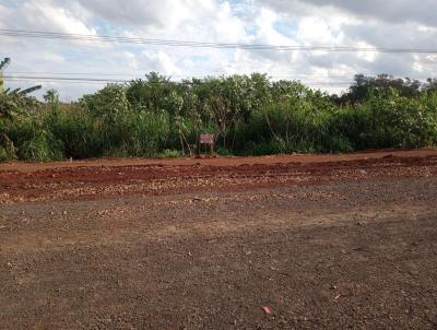 Terreno para Venda, em Apucarana, bairro Nucleo Habitacional Adriano Correa