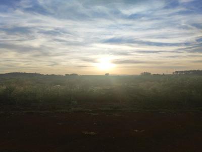 Chcara para Venda, em Londrina, bairro Colina do sol