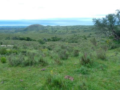 rea Rural para Venda, em Pinheiro Machado, bairro Torrinhas