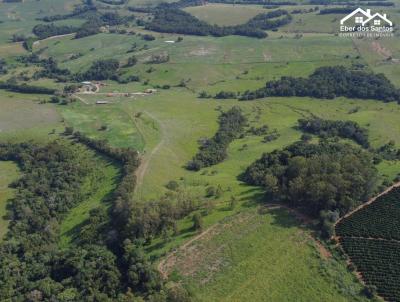 Fazenda para Venda, em Siqueira Campos, bairro Saltinho