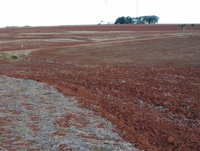 Fazenda para Venda, em Torrinha, bairro Centro