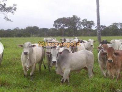 Fazenda para Venda, em Pocon, bairro Zona rural