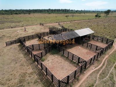 Fazenda para Venda, em Cuiab, bairro Barra do Aric Au