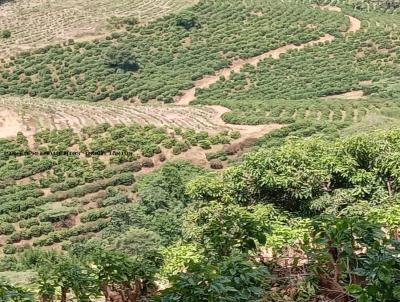 Fazenda para Venda, em Muzambinho, bairro PROXIMO RIBERAO PRETO