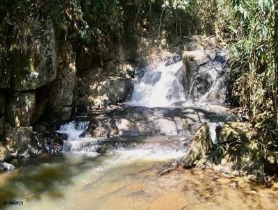 Fazenda para Venda, em Cachoeira Paulista, bairro Centro, 1 dormitrio, 1 banheiro