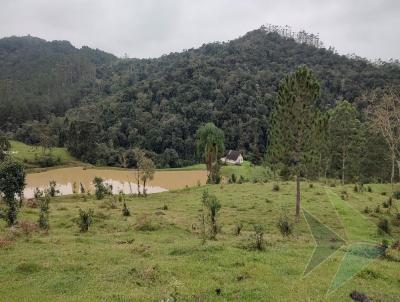 Fazenda para Venda, em Tai, bairro Distrito de Passo Manso, 3 dormitrios, 1 banheiro