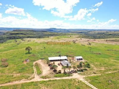 Fazenda para Venda, em Tesouro, bairro Zona rural