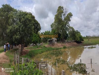 Fazenda para Venda, em Pocon, bairro Zona rural