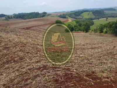 Fazenda para Venda, em Campina da Lagoa, bairro .