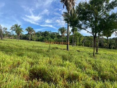 Fazenda para Venda, em Santo Antnio do Leverger, bairro Zona rural