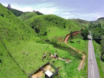 Stio para Venda, em Santa Brbara do Monte Verde, bairro 