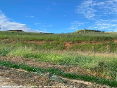 Lote para Venda, em Abre Campo, bairro Pereira Lima