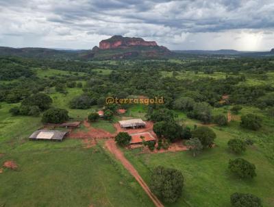 Fazenda para Venda, em Rondonpolis, bairro Zona rural