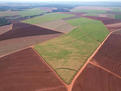 Fazenda para Venda, em Bariri, bairro Zona Rural