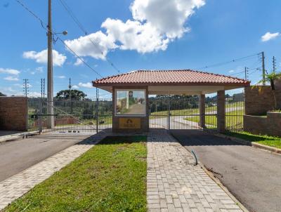 Terreno para Venda, em Colombo, bairro Paloma