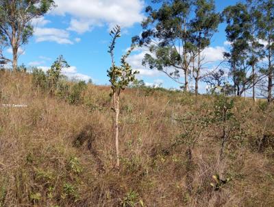 rea Rural para Venda, em Coronel Xavier Chaves, bairro Quebra Machado