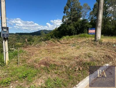 Terreno para Venda, em Serto Santana, bairro Centro