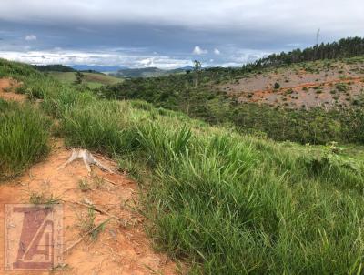 Terreno para Venda, em Cataguases, bairro Zona Rural