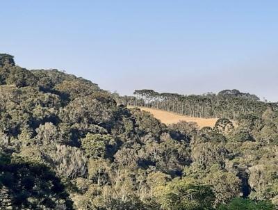 Stio para Venda, em Cunha, bairro PARAIBUNA