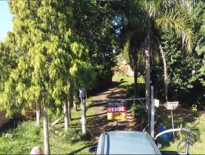 Terreno para Venda, em Laranjeiras do Sul, bairro So Francisco