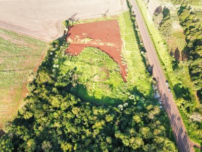 rea Rural para Venda, em Santa Rosa, bairro Cruzeiro