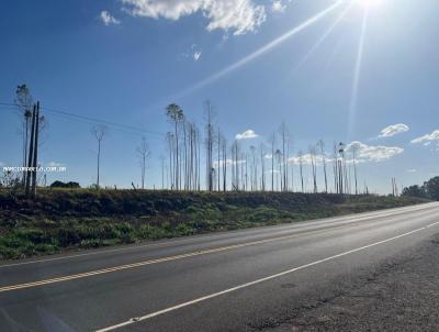 Stio / Chcara para Venda, em Presidente Prudente, bairro rural