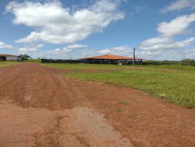 Fazenda para Venda, em Coroat, bairro ZONA RURAL