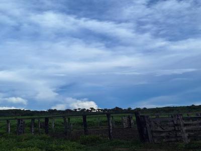 Fazenda para Venda, em Presidente Dutra, bairro ZONA RURAL