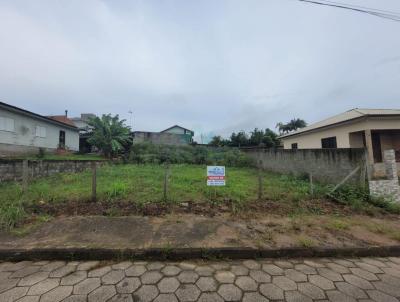 Terreno para Venda, em Iara, bairro Jardim Elizabete