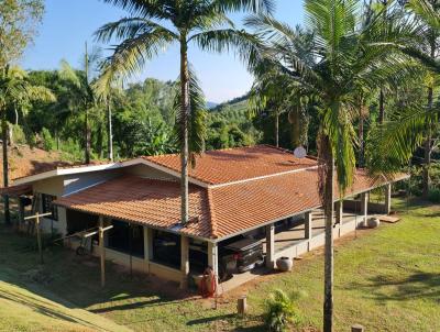 Stio para Venda, em Juruaia, bairro Santo Aleixo