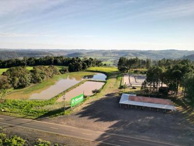 Lote para Venda, em Salto do Lontra, bairro 