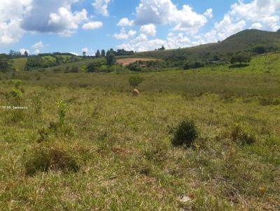 rea Rural para Venda, em Coronel Xavier Chaves, bairro rea Rural