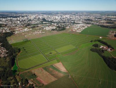 Lote para Venda, em Cascavel, bairro Centro