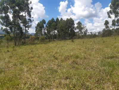 rea Rural para Venda, em Coronel Xavier Chaves, bairro Quebra Machado
