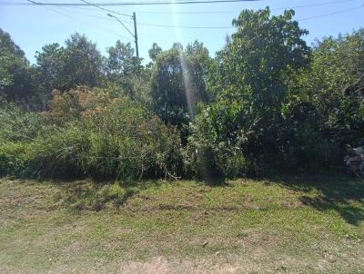 Terreno para Venda, em Itanham, bairro SANTA CRUZ