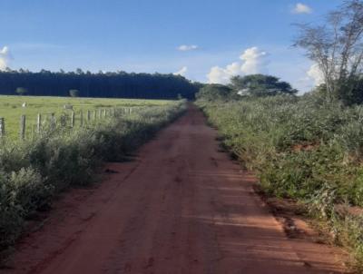 Arrendamento para Locao, em Terenos, bairro Zona Rural