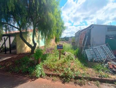 Terreno para Venda, em Londrina, bairro Jardim Montecatini