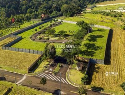 Terreno para Venda, em Ribeiro Preto, bairro Loteamenmto Terras de Santa Marta