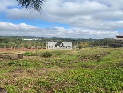 rea para Venda, em Caxias do Sul, bairro Monte Brico