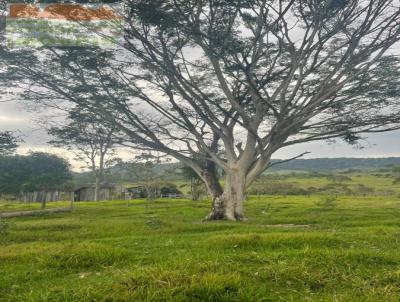 Stio para Venda, em Chupinguaia, bairro ZONA RURAL